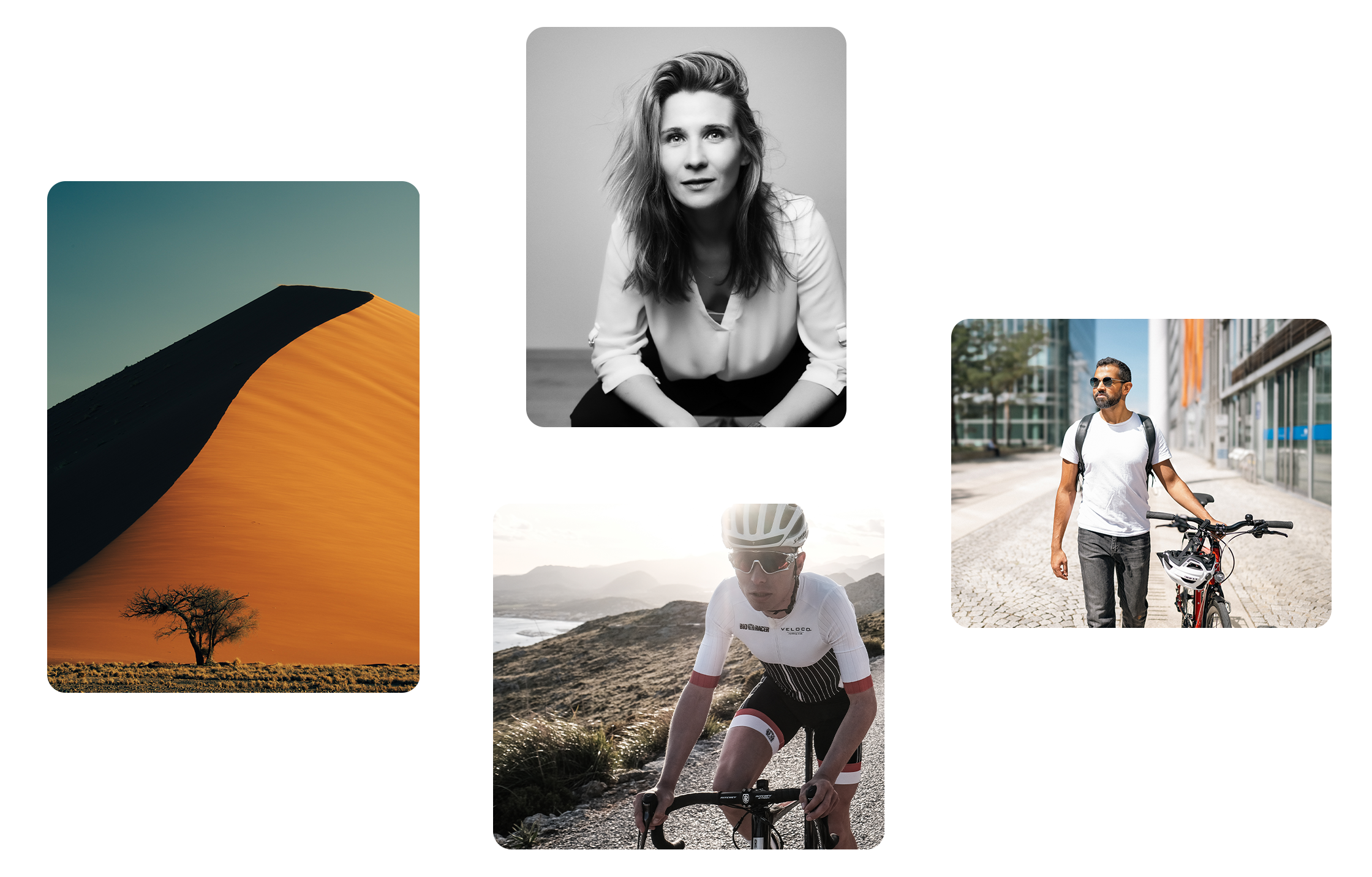 homepage quattro gallery ps bild